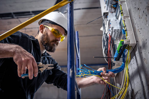 Best Electric Panel Repair  in Roanoke, VA